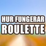 Roulette Guide bild