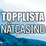 Nätcasinon