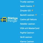 betalnings - snabba guider