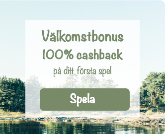 TheLotter fick en svensk licens